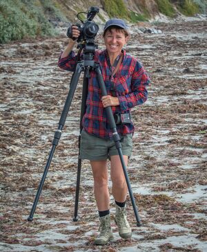 2 Colleen Hughson Capturing stories from the beach